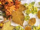ATELIER IMPRESSIONS VEGETALES SUR PAPIER