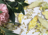 ATELIER IMPRESSIONS VEGETALES SUR PAPIER