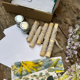 BOX DIY IMPRESSIONS VEGETALES SUR PAPIER