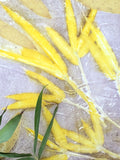 ATELIER IMPRESSIONS VEGETALES SUR PAPIER
