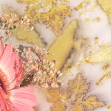 ATELIER IMPRESSIONS VEGETALES SUR PAPIER